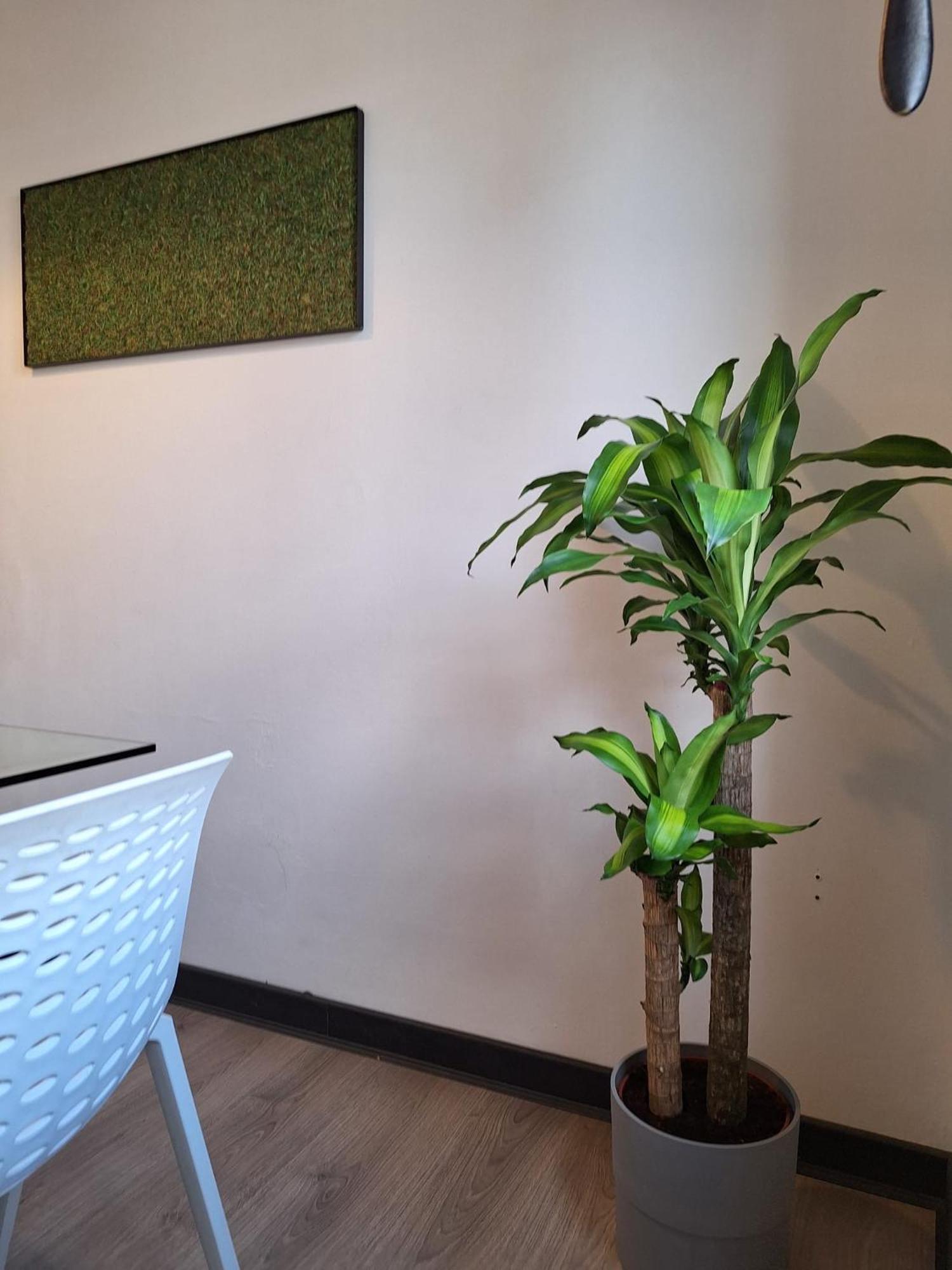 Dga Loft In Padua Center A Few Steps From Squares Apartment Exterior photo